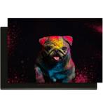 Funky Pup - Inductie Beschermer, Verzenden, Nieuw
