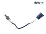 Lambda Sonde Moto Guzzi 1200 Sport 2007-2009 (LPM0), Motoren, Verzenden, Gebruikt