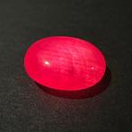 Zonder Minimumprijs - 1 pcs Rood, Roze Robijn - 16,28 ct -
