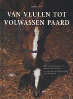 Van veulen tot volwassen paard | 9789059203624 | LORCH,  J., Zo goed als nieuw, LORCH,  J.