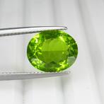 1 pcs Geel, Groen Olivijn - 5.30 ct - nternational Colored, Sieraden, Tassen en Uiterlijk, Edelstenen, Nieuw
