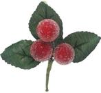 Besjes Frosted Raspberry Rood Kunstbloem 10 cm Zak 6 stuks, Huis en Inrichting, Ophalen of Verzenden, Nieuw