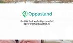 Do zoekt een oppas in Roermond voor 1 kind., Vacatures, Vacatures | Onderwijs, Wetenschap en Onderzoek