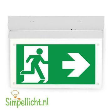 Opbouw- Noodverlichtings -armatuur - led noodverlichting beschikbaar voor biedingen