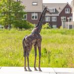 Beeld van een grote metalen giraf, Verzenden, Nieuw, Metaal, Dierenbeeld