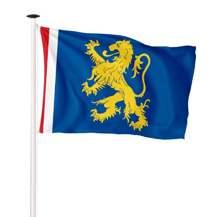 Vlag gemeente Leeuwarden 150x225cm (voor masten 6 en 7, Diversen, Vlaggen en Wimpels, Nieuw
