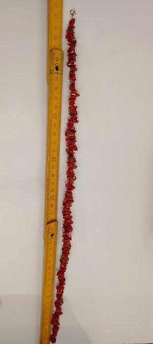 Bloedkoraal Koraal - Corallium rubrum (Zonder Minimumprijs), Antiek en Kunst, Curiosa en Brocante