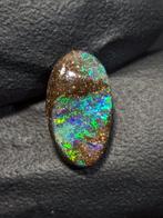 1,61 ct - Natuurlijke Boulder Opal uit Queensland, met