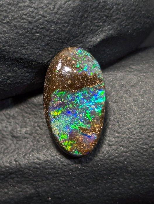 1,61 ct - Natuurlijke Boulder Opal uit Queensland, met, Verzamelen, Mineralen en Fossielen