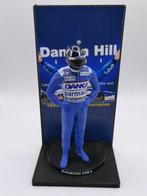 Minichamps 1:18 - Modelauto - Damon Hill Williams World, Nieuw
