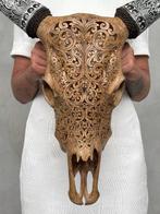 Geen minimumbedrag - Bruine gesneden koeienschedel met