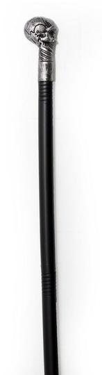 Schedel Scepter Zilver 77cm 3st, Verzenden, Nieuw