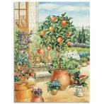 Artland Artprint Sinaasappelboompje in de tuin als, Verzenden, Nieuw