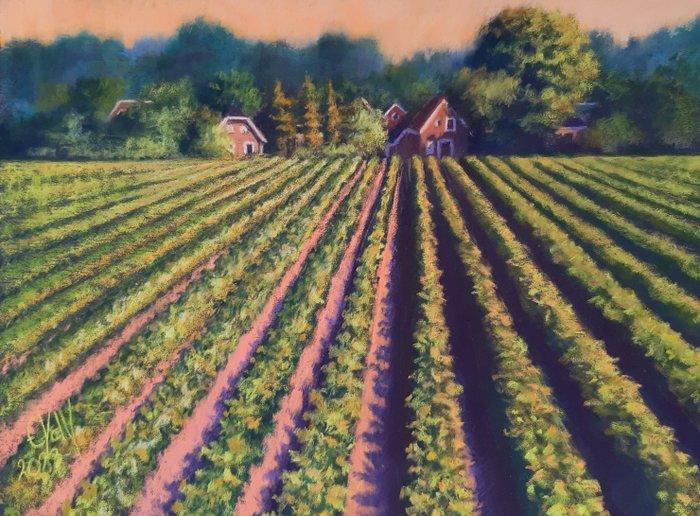 Esther Visser Pastel Art - Golden Rows at Sunset, Antiek en Kunst, Kunst | Schilderijen | Modern