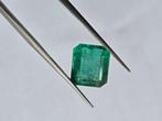 Zonder minimumprijs Groen Smaragd - 7.35 ct - Lotus Gemology, Nieuw