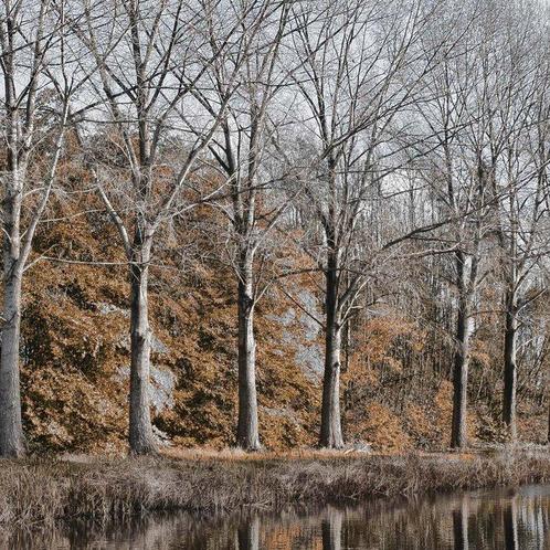 Wiepke Folkerts - Canal #2, Antiek en Kunst, Kunst | Designobjecten