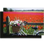 Spring Ride - Inductie Beschermer, Verzenden, Nieuw
