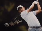 Golf - Collin Morikawa - Photograph, Verzamelen, Overige Verzamelen, Nieuw