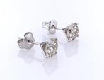 Oorbellen - 14 karaat Witgoud - 2.03ct. tw. Bruin Diamant, Nieuw