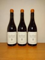 2024 Foradori Fuoripista Pinot Grigio - Trentino Alto Adige, Nieuw