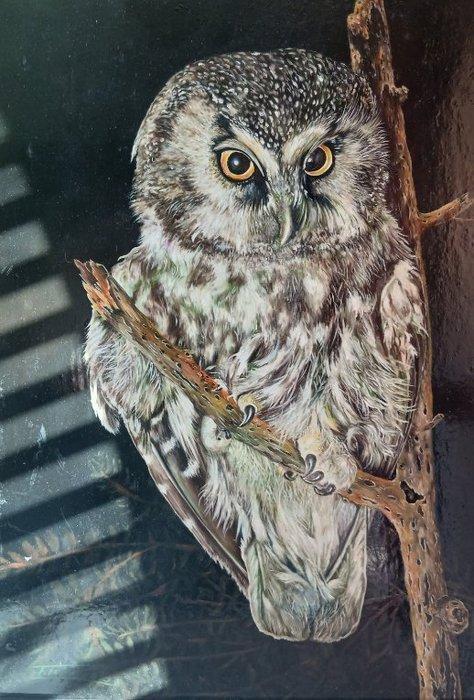 Franz Trümper (1941-2021) - Uil, Antiek en Kunst, Kunst | Schilderijen | Klassiek