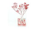 Ashleigh & Burwood Winter Rose & Jasmine Geurstokje rood-L9,, Huis en Inrichting, Woonaccessoires | Kandelaars en Kaarsen, Ophalen of Verzenden