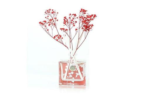 Ashleigh & Burwood Winter Rose & Jasmine Geurstokje rood-L9,, Huis en Inrichting, Woonaccessoires | Kandelaars en Kaarsen, Ophalen of Verzenden