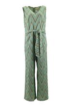 Cartoon jumpsuits in maat 40 Groen, Kleding | Dames, Truien en Vesten, Cartoon, Verzenden, Zo goed als nieuw, Groen