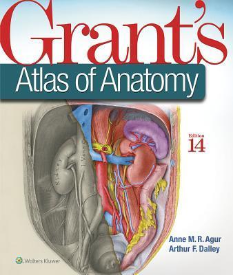 Grants Atlas of Anatomy 9781496331472, Boeken, Studieboeken en Cursussen, Zo goed als nieuw, Verzenden