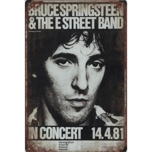 Wandbord- Bruce Springsteen And The E Street Band In Concert, Verzamelen, Muziek, Artiesten en Beroemdheden, Poster, Artwork of Schilderij