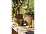 Mica Decorations Durban Bloempot Buiten - Set van 3 - H36 x, Verzenden, Nieuw