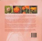 Puur Baby 8711776300011 Ineke van der Duijn Schouten, Verzenden, Zo goed als nieuw, Ineke van der Duijn Schouten