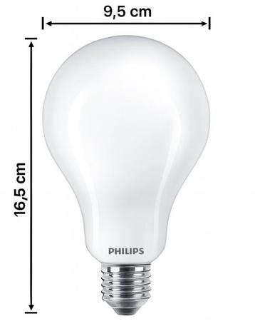 Philips LED lamp A95 E27 23W 3452lm 2700K | Melkglas | Ni... beschikbaar voor biedingen