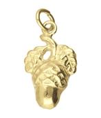 Gouden Eikel met blad ketting hanger, Sieraden, Tassen en Uiterlijk, Verzenden, Nieuw