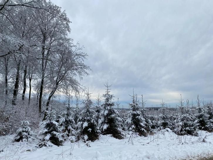 Super fijn uniek vakantiehuis in de (B) Ardennen last minute, Vakantie, Vakantiehuizen | België, Landelijk, Ardennen of Luxemburg