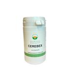 Cerebex capsules, Nieuw
