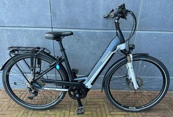 Pegasus Premio EVO Lite elektrische fiets Bosch CX 500Wh beschikbaar voor biedingen