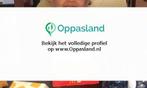 brigitte zoekt een oppas in Aldeboarn voor 1 kind op dins..., Vacatures, Vacatures | Juridisch en Fiscaal