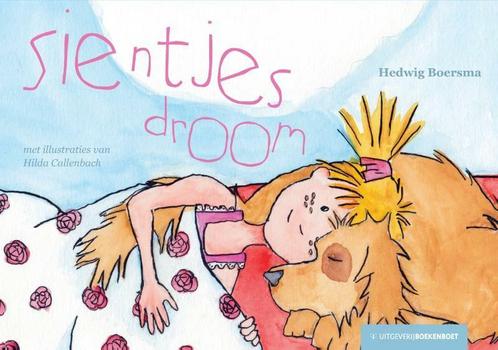 Sientjes droom 9789491375286 Hedwig Boersma, Boeken, Overige Boeken, Gelezen, Verzenden