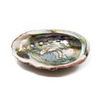 Abalone Schelp - Groot - 90 tot 100 mm, Huis en Inrichting, Woonaccessoires | Overige, Verzenden, Nieuw