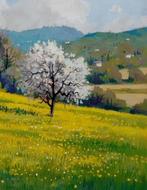 Walter Marchese (1958) - Primavera in Toscana