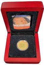 Gouden 20 euro 2004 Proof : Geboortemunt prinses Amalia, Verzenden, Losse munt, Goud