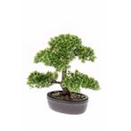 Kunstplant mini Bonsai boompje in pot 32 cm - Kunst bonsai, Huis en Inrichting, Kamerplanten, Ophalen of Verzenden