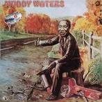 LP gebruikt - Muddy Waters - Muddy Waters, Zo goed als nieuw, Verzenden