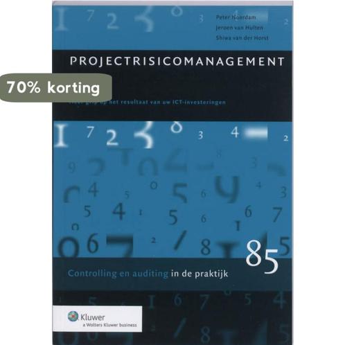 Projectrisicomanagement / Controlling & auditing in de, Boeken, Economie, Management en Marketing, Zo goed als nieuw, Verzenden