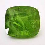 Zonder minimumprijs Olivijn - 12.18 ct - Antwerp Laboratory, Nieuw