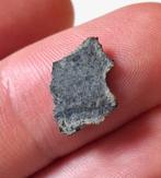 Geen reserve. Mars-meteorietsnede - 0.25 g