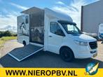 Zakelijke Lease |  Mercedes-Benz Sprinter 314CDI Paardenwage, Automaat, Wit, Mercedes-Benz, Diesel