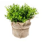 Kunstplant tuinkers kruiden groen in jute pot 16 cm  - Ove.., Ophalen of Verzenden