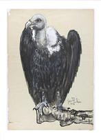 Jean Poulain (1884 - 1967) - Vautour